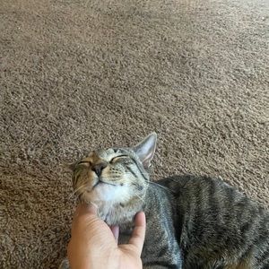 Meet your Posher, Nyla